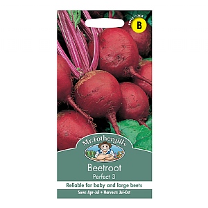 Mr Fothergills Beetroot Perfect 3 Seeds