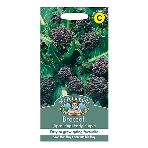 Mr Fothergills Broccoli (Sprouting) Early Purple Seeds