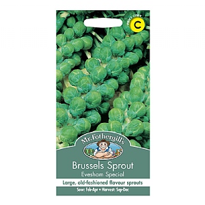 Mr Fothergills Brussels Sprout Evesham Special Seeds