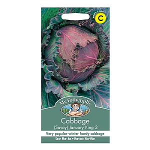 Mr Fothergills Cabbage (Savoy) January King 3 Seeds