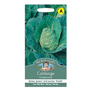 Mr Fothergills Cabbage Greyhound Seeds