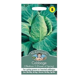 Mr Fothergills Cabbage Offenham 2 (Flower Of Spring) Seeds