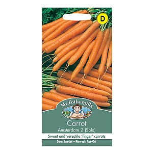 Mr Fothergills Carrot Amsterdam 2 (Solo) Seeds
