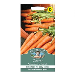 Mr Fothergills Carrot Amsterdam 3 (Sprint) Seeds