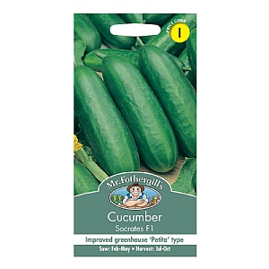 Mr Fothergills Cucumber Socrates F1 Seeds