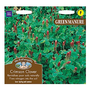 Mr Fothergills Green Manure Crimson Clover Seeds