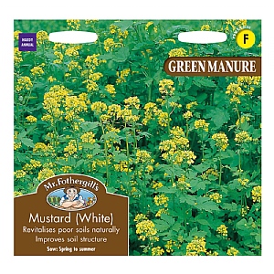 Mr Fothergills Green Manure Mustard (White) Seeds