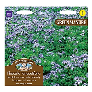 Mr Fothergills Green Manure Phacelia Tanacetifolia Seeds