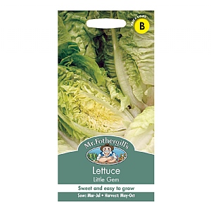 Mr Fothergills Lettuce Little Gem Seeds