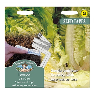 Mr Fothergills Tape Lettuce Little Gem Seeds