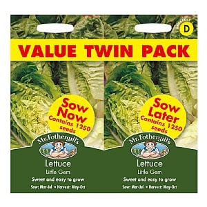Mr Fothergills Lettuce Little Gem Bumper Pack Seeds