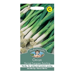 Mr Fothergills Onion (Spring) Evergreen Bunching Seeds