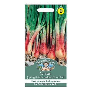 Mr Fothergills Onion (Spring) North Holland Blood Red Seeds