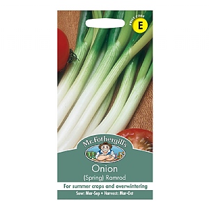 Mr Fothergills Onion (Spring) Ramrod Seeds