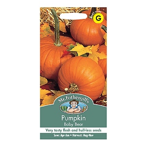 Mr Fothergills Pumpkin Baby Bear Seeds