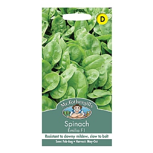 Mr Fothergills Spinach Emilia F1 Seeds