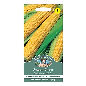 Mr Fothergills Sweet Corn Bodacious Rm F1 Seeds