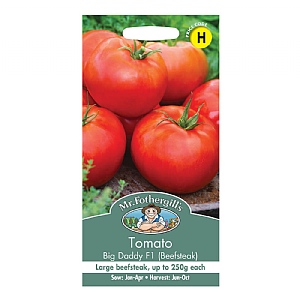 Tomato (Beefsteak) Big Daddy F1 Seeds
