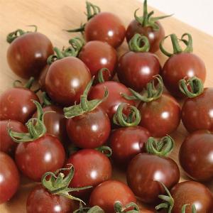 Tomato Black Opal Seeds