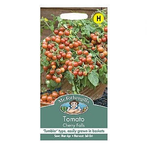 Tomato Cherry Falls Seeds