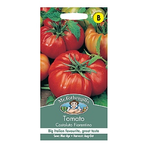 Tomato (Beefsteak) Costoluto Fiorentino Seeds