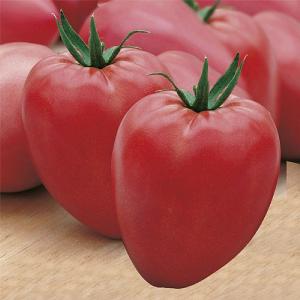 Tomato Cuor di bue Seeds