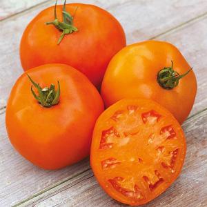 Tomato (Beefsteak) Orange Slice F1 Seeds