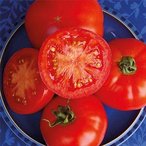 Tomato Red Bodyguard F1 Seeds