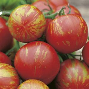 Tomato Tigerella Seeds