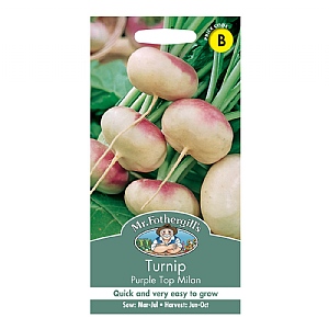 Mr Fothergills Turnip Purple Top Milan Seeds