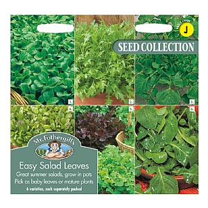 Mr Fothergills Easy Salad Leaves Seeds