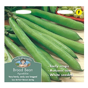 Mr Fothergills Broad Bean Aguadulce Seeds