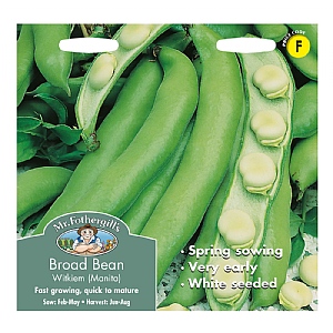 Mr Fothergills Broad Bean Witkiem (Manita) Seeds