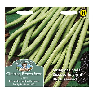 Mr Fothergills Climbing French Bean Cobra Seeds