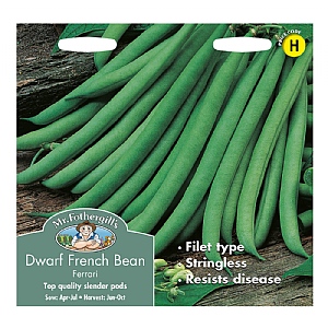 Mr Fothergills Dwarf French Bean Ferrari Seeds