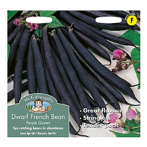 Mr Fothergills Dwarf French Bean Purple Queen Seeds