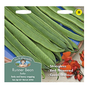 Mr Fothergills Runner Bean Butler Seeds