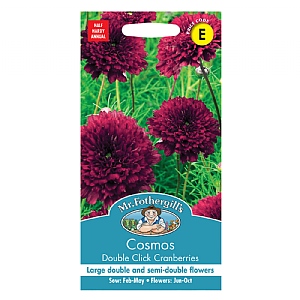 Mr Fothergills Cosmos Double Click Cranberries Seeds