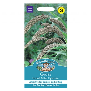 Mr Fothergills Grass Foxtail Millet Hylander Seeds