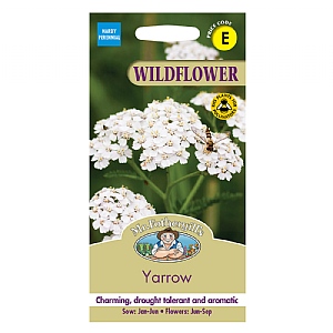 Mr Fothergills Wild Flower Yarrow Seeds