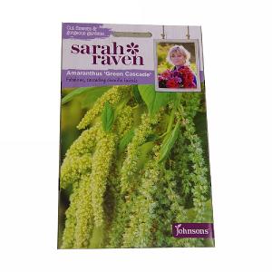 Sarah Raven Cutflower Collection Amaranthus Green Cascade