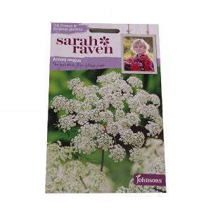 Sarah Raven Cutflower Collection Ammi Majus