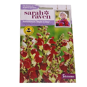 Sarah Raven Cutflower Collection Antirrhinum Night & Day