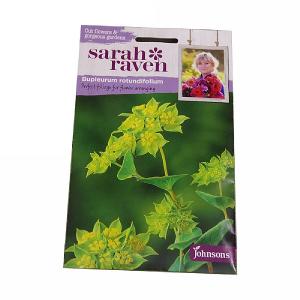 Sarah Raven Cutflower Collection Bupleurum Rotundifolium