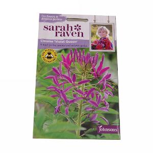 Sarah Raven Cutflower Collection Cleome Violet Queen