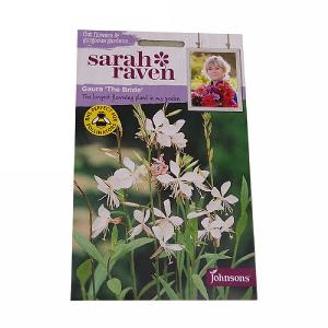 Sarah Raven Cutflower Collection Gaura The Bride