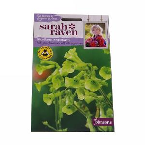 Sarah Raven Cutflower Collection Nicotiana Langsdorffii