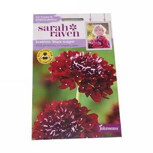 Sarah Raven Cutflower Collection Scabious Black Knight
