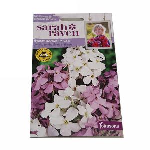 Sarah Raven Cutflower Collection Sweet Rocket Mixed