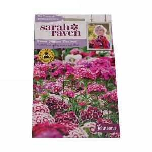 Sarah Raven Cutflower Collection Sweet William Electron
